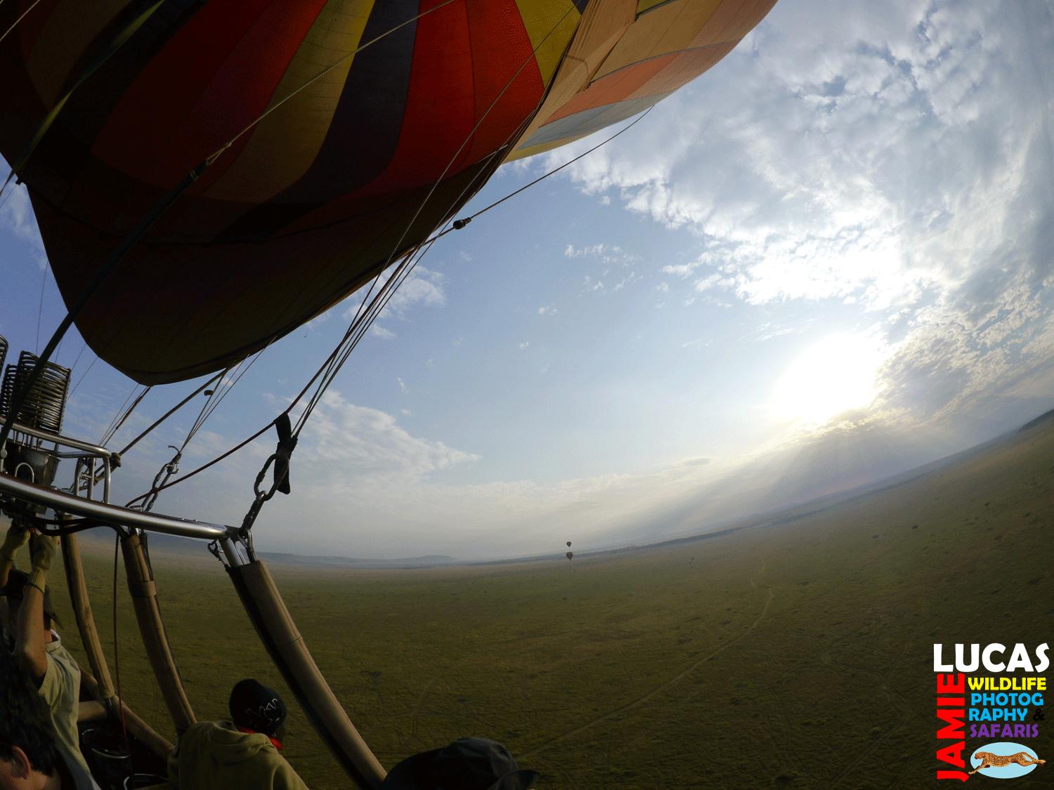 Balloon safari gallery image 12
