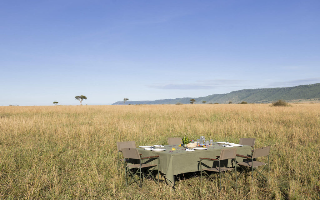Hot air balloon safaris  gallery image 4
