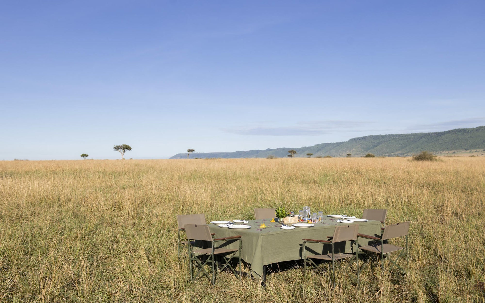 Hot air balloon safaris  gallery image 4