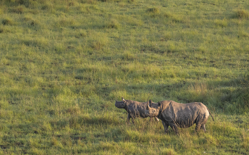 Hot Air Balloon Safaris  gallery image 8