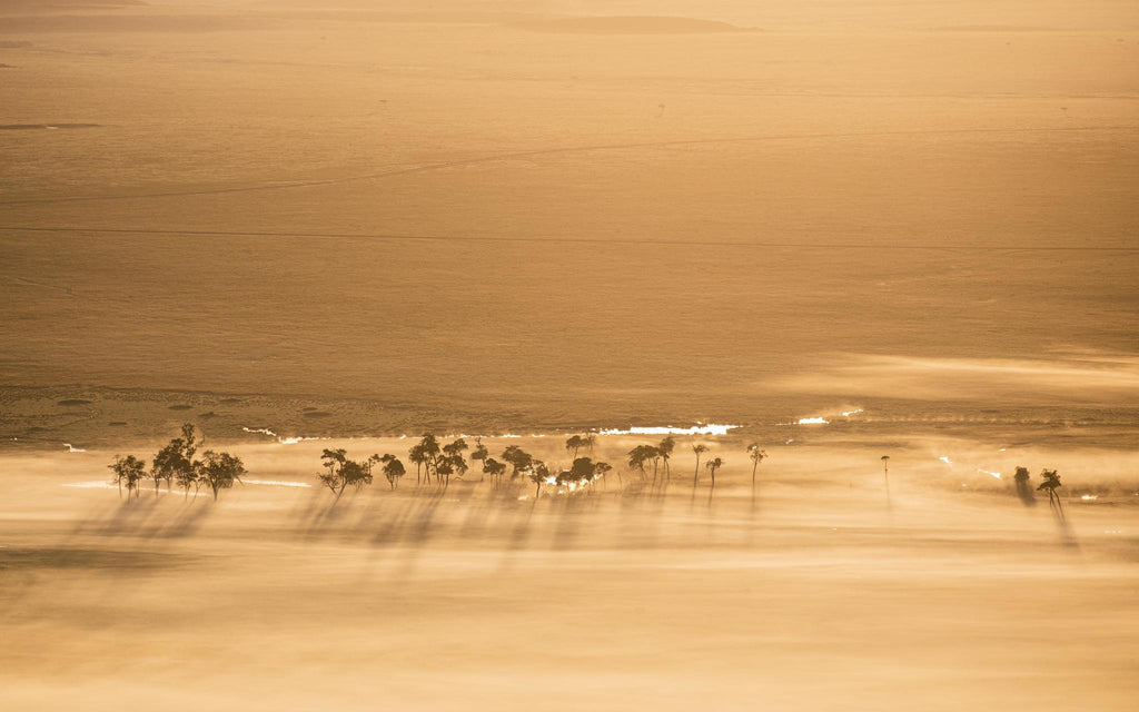 Hot air balloon safaris  gallery image 8