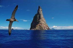 Bird Watching gallery image 2