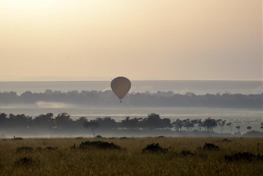 Balloon safari gallery image 11