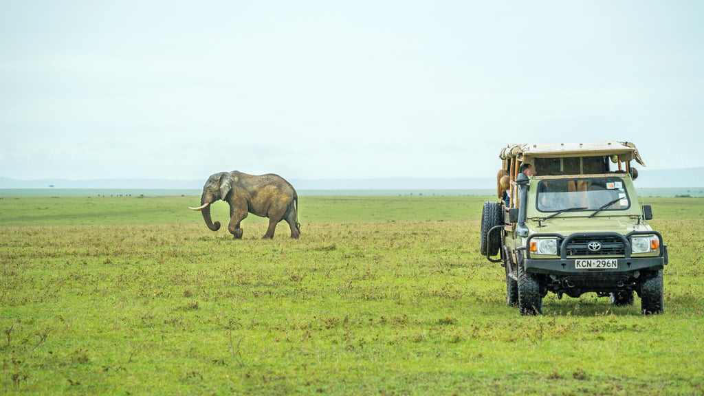 Game Drives gallery image 1