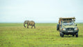 Game Drives gallery image 1