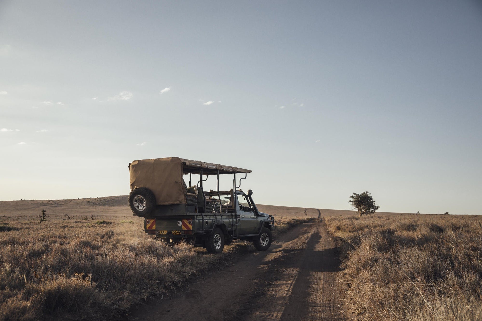 Day and Night Game Drives gallery image 2