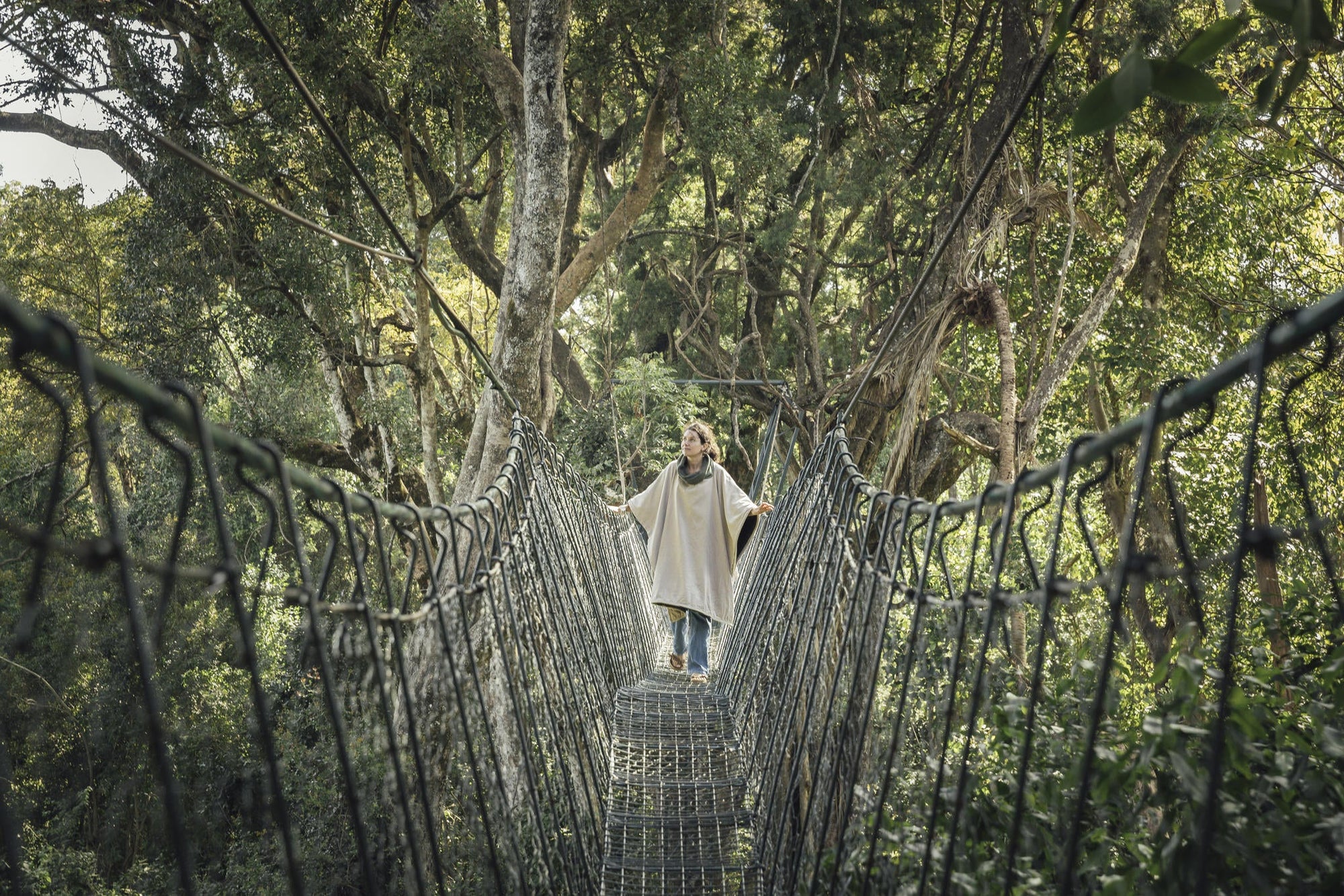 Ngare Ndare Canopy Walk gallery image 2