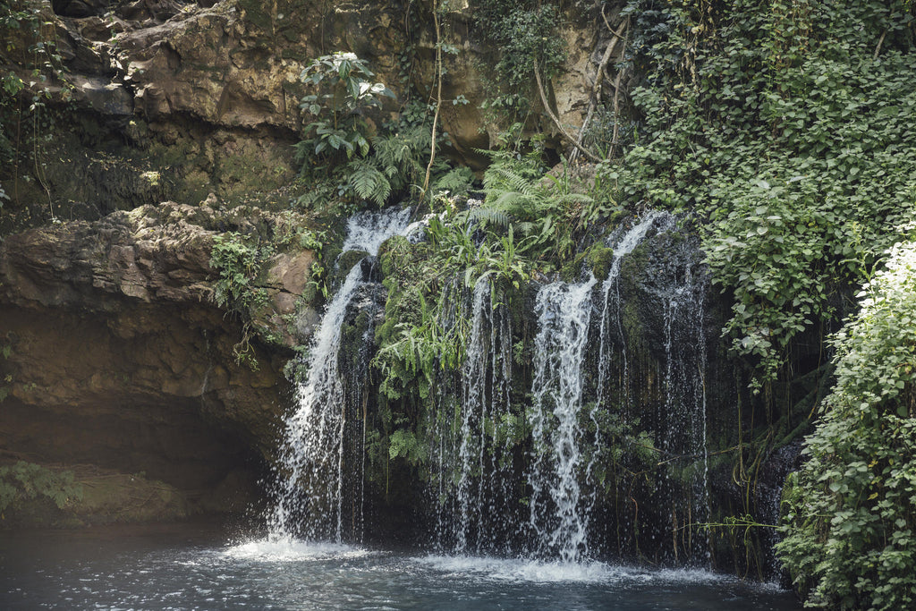 Ngare Ndare Waterfalls gallery image 2