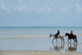 Horse Riding Safaris gallery image 1