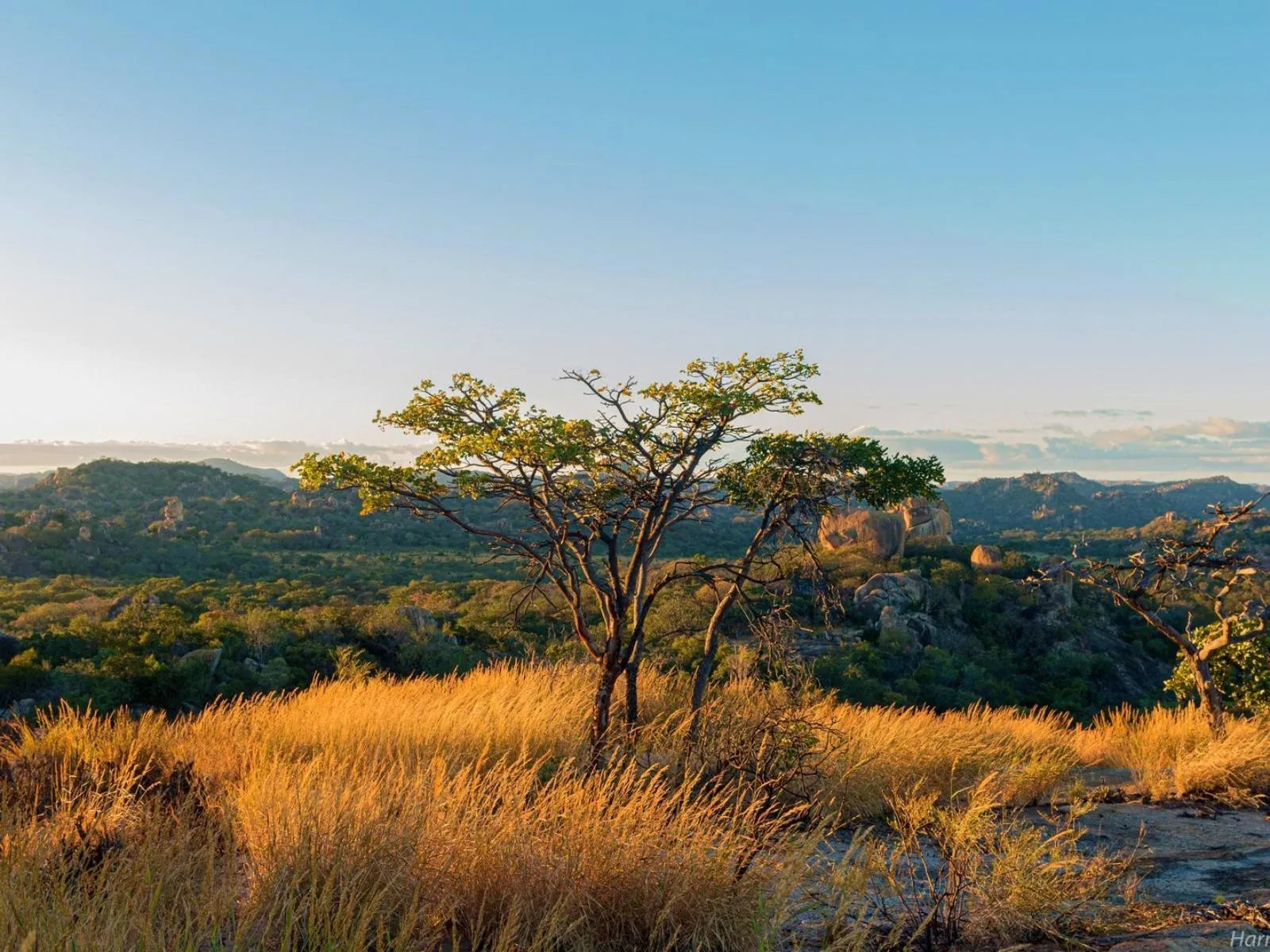 Big Cave Camp, Matobo National Park, Zimbabwe gallery image 3.