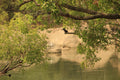 Birdwatching gallery image 1