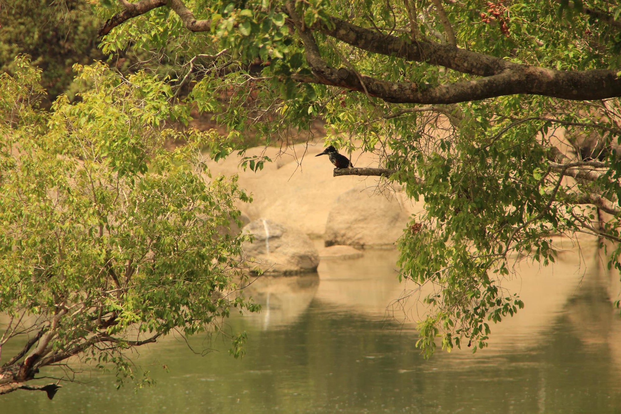 Birdwatching gallery image 1