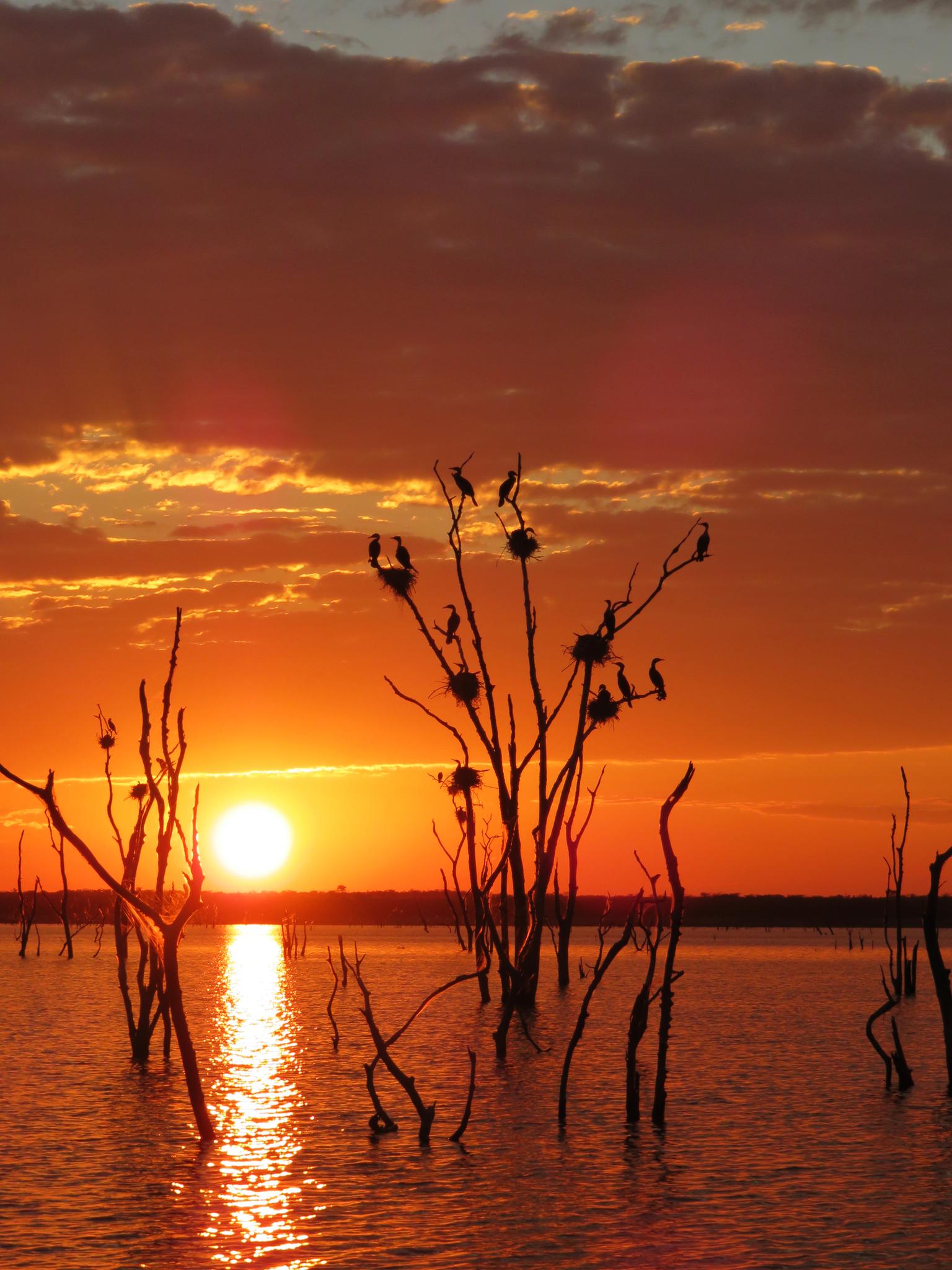 Bird Watching gallery image 2