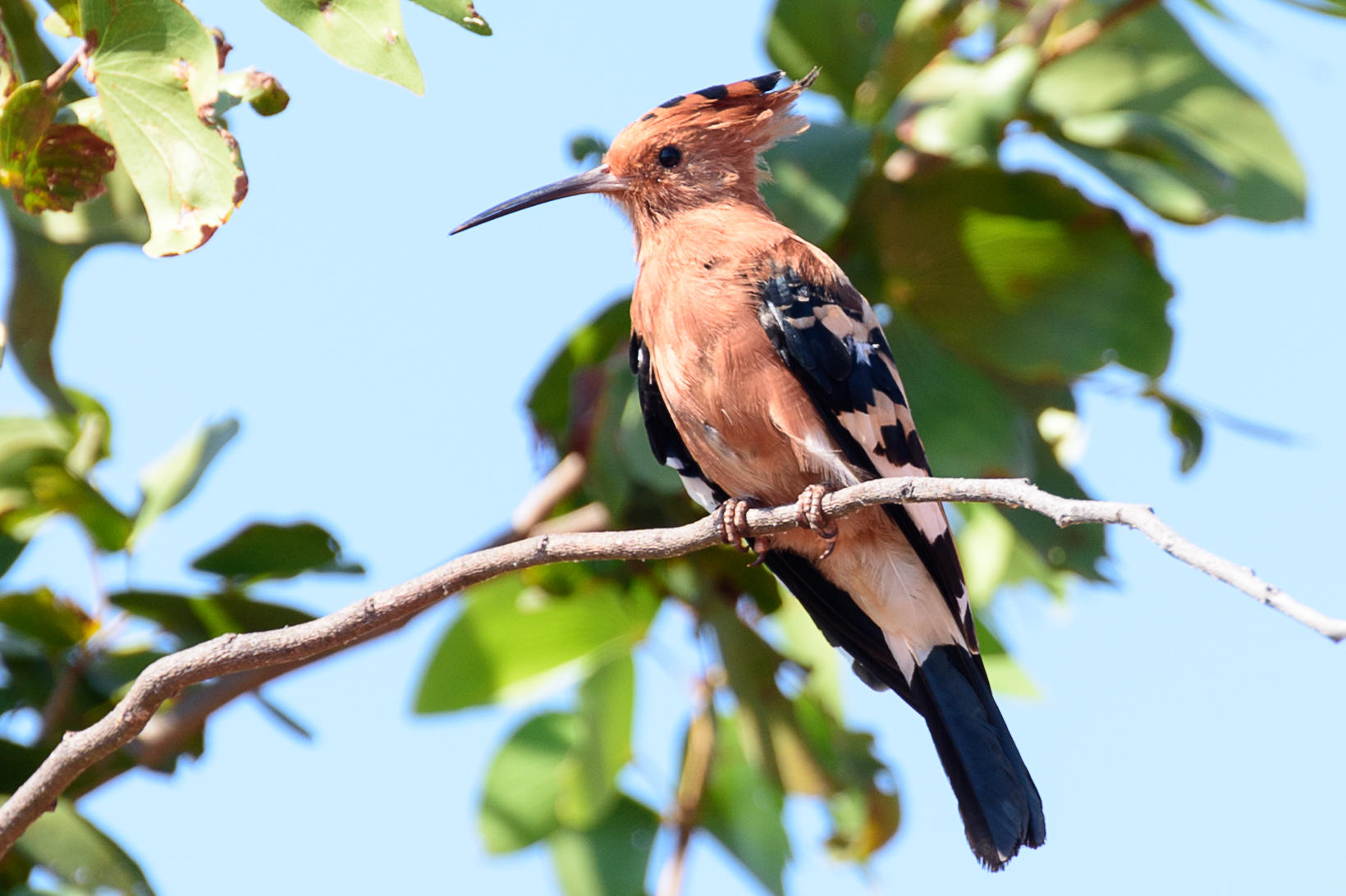 Bird Watching gallery image 3