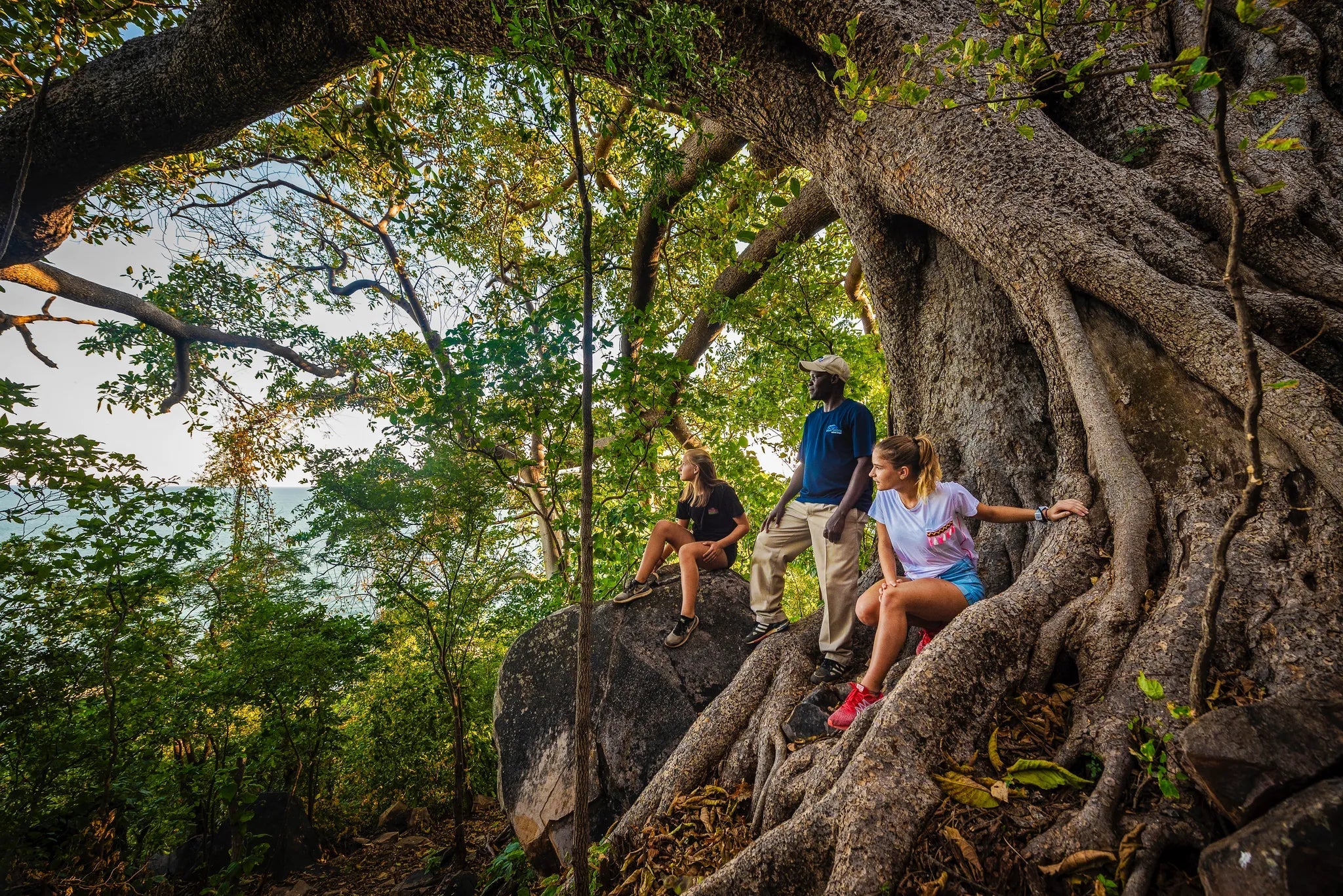 Nature Trails - The Ancient Fig Tree at Blue Zebra Island Lodge, Nankoma Island, Malawi.