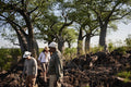 Bushmen Paintings and Baobab Trees gallery image 1