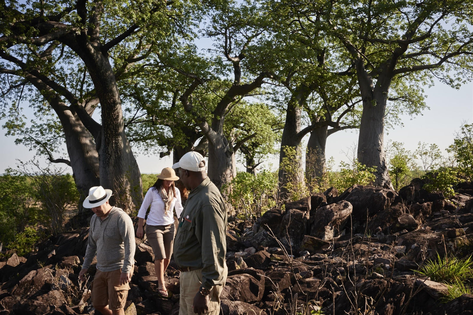 Bushmen Paintings and Baobab Trees