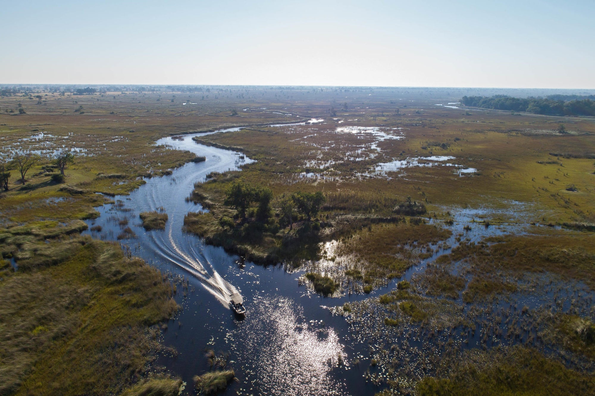 Camp Moremi motorised boating trips gallery image 5