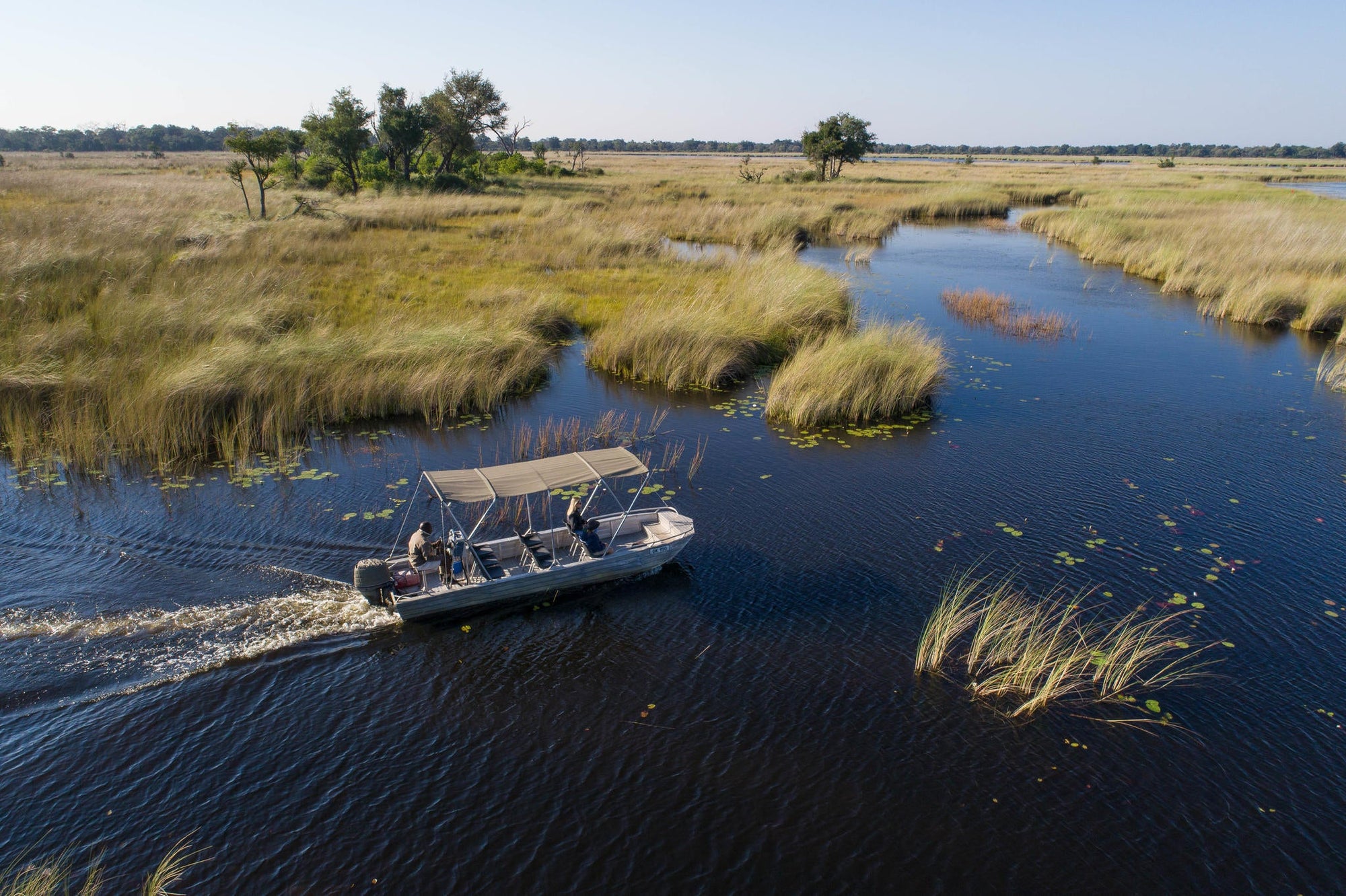 Camp Moremi motorised boating trips gallery image 6