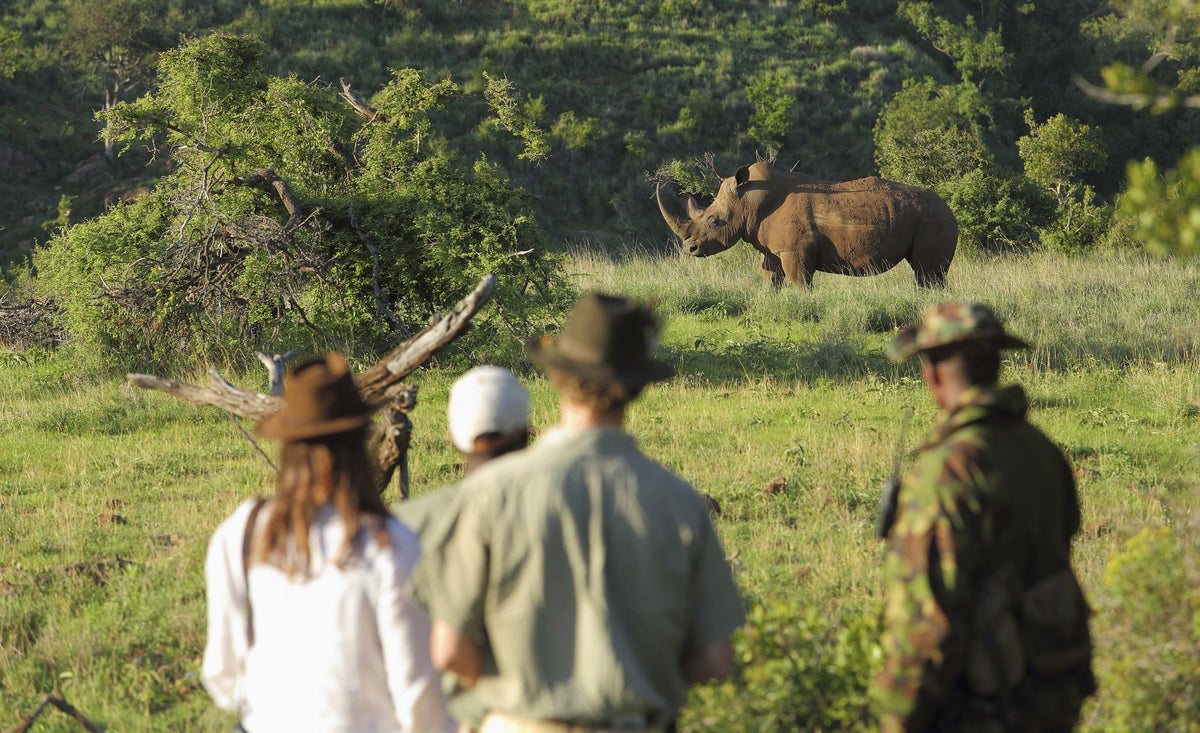 Rhino Tracking on Foot