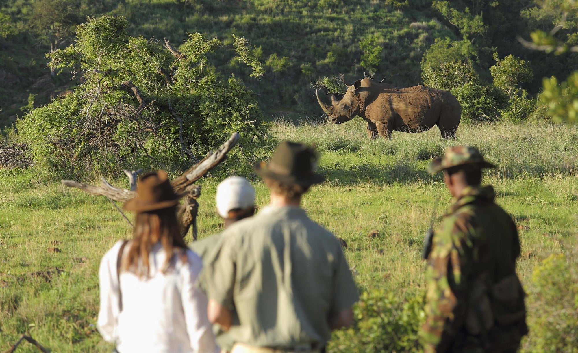 Rhino Tracking on Foot gallery image 1