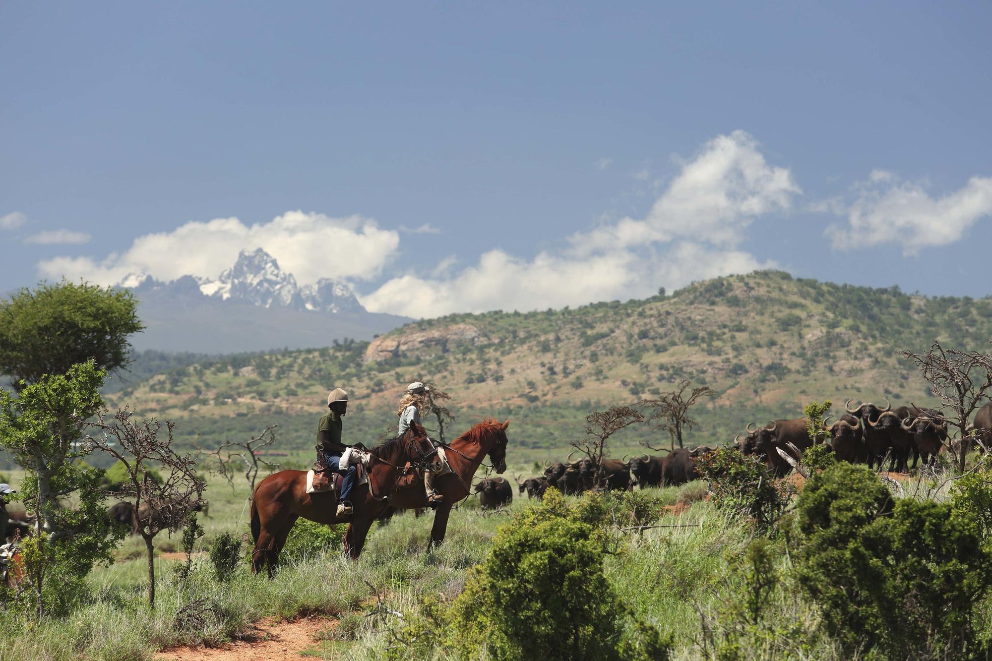 Horse Riding gallery image 2