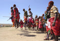 Local Maasai Village Visits gallery image 1