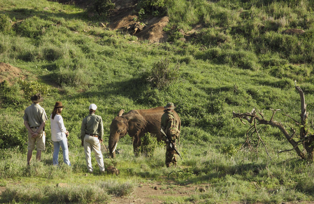 Guided Bush Walks gallery image 2