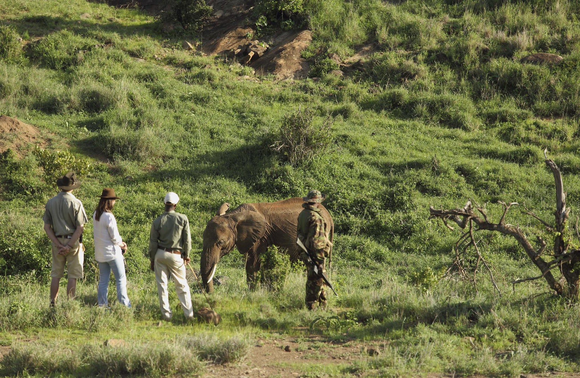 Guided Bush Walks gallery image 2