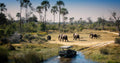 Day Trip to Chobe National Park  gallery image 1