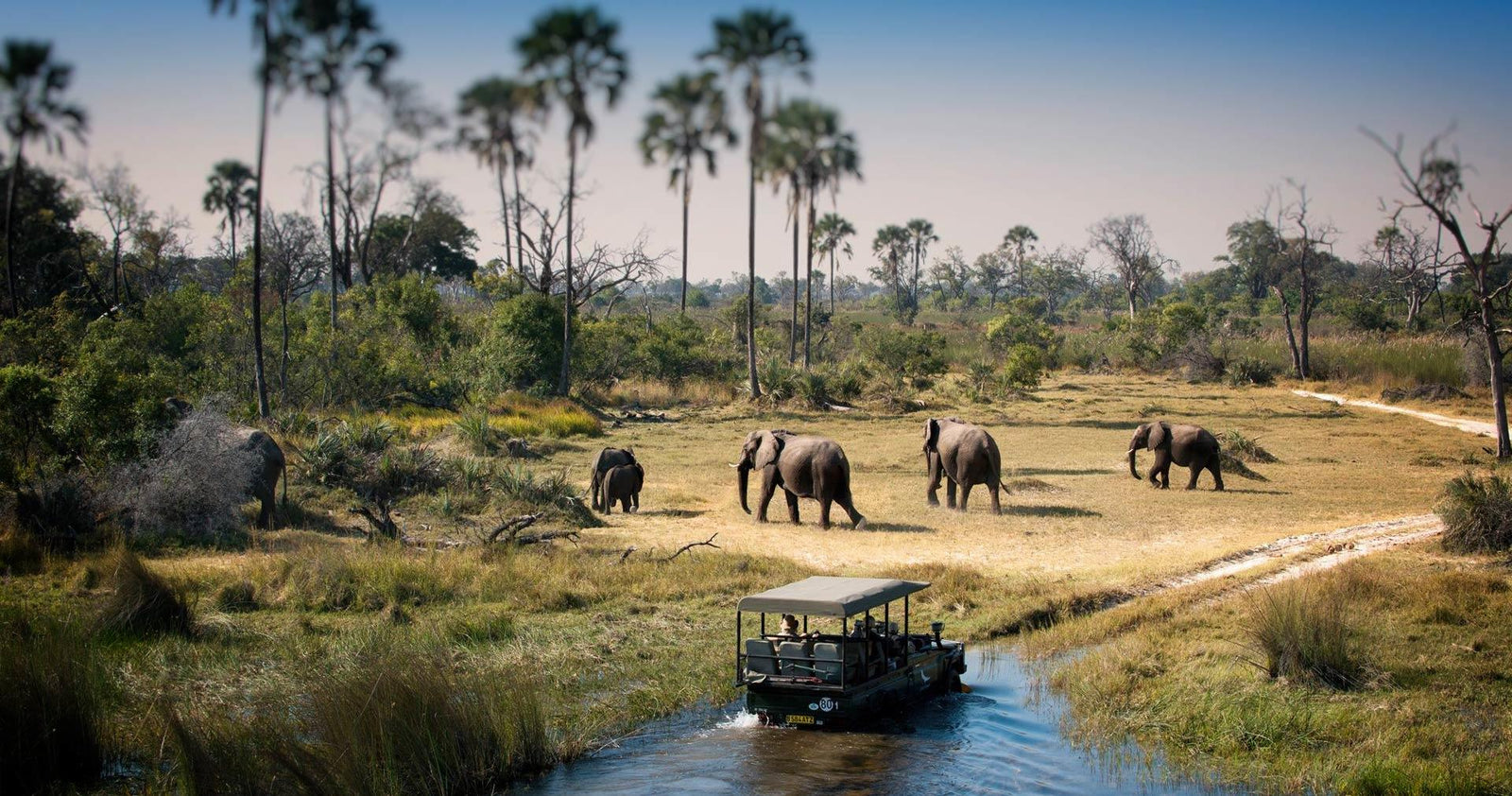 Day Trip to Chobe National Park