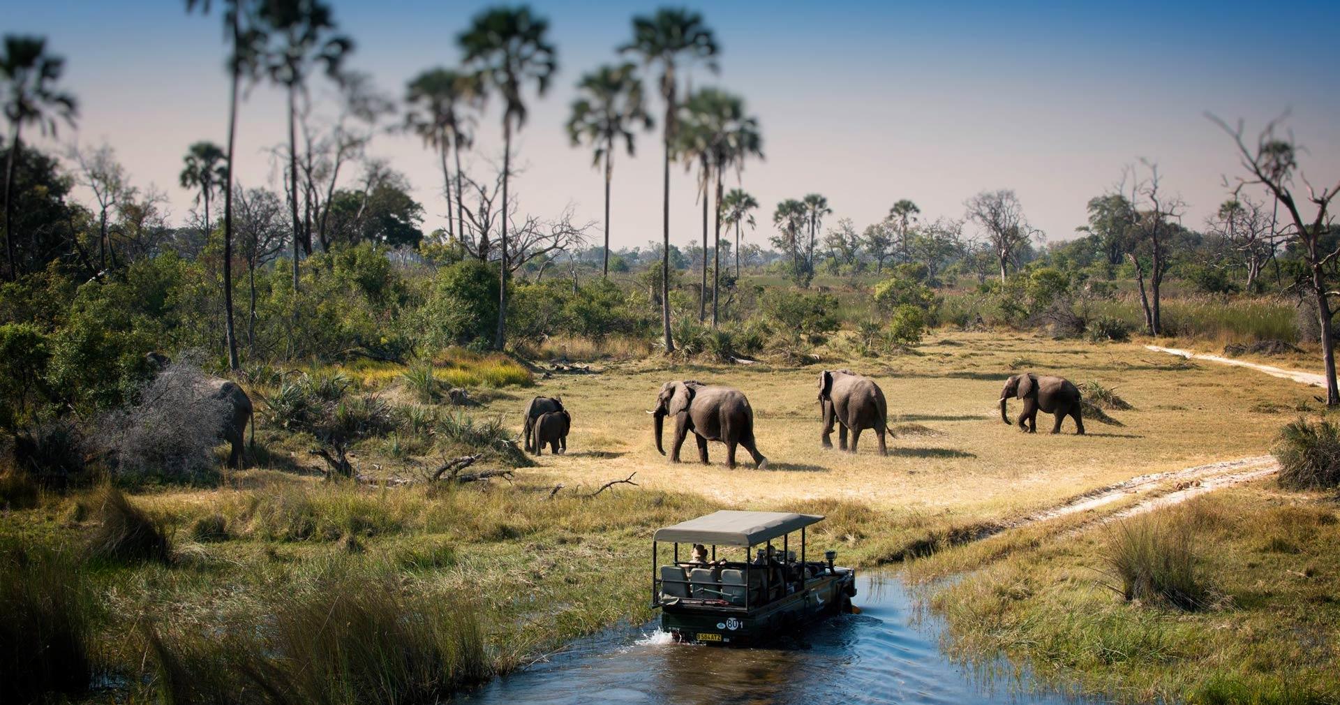 Day Trip to Chobe National Park  gallery image 1