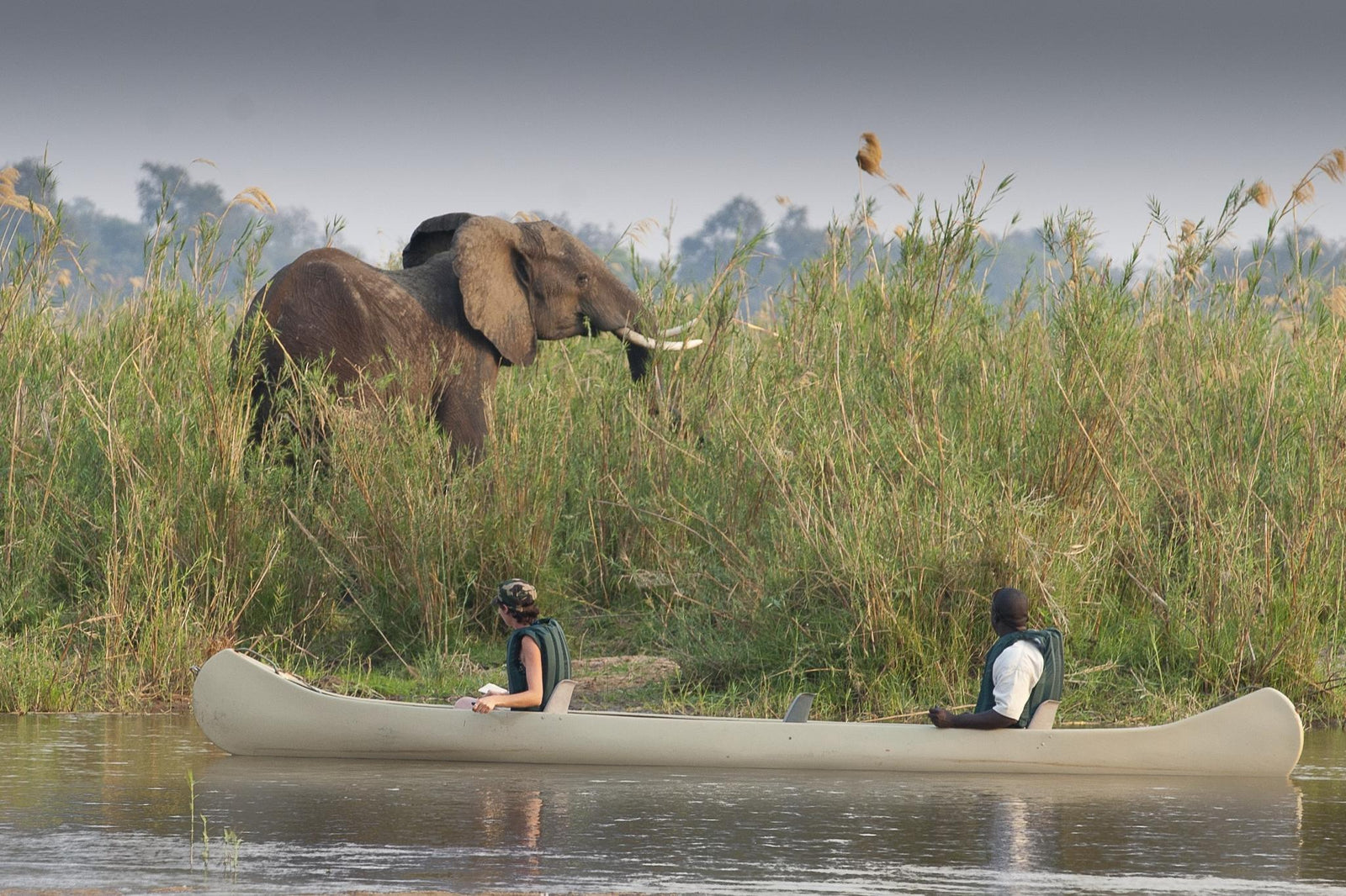 Canoe Safaris