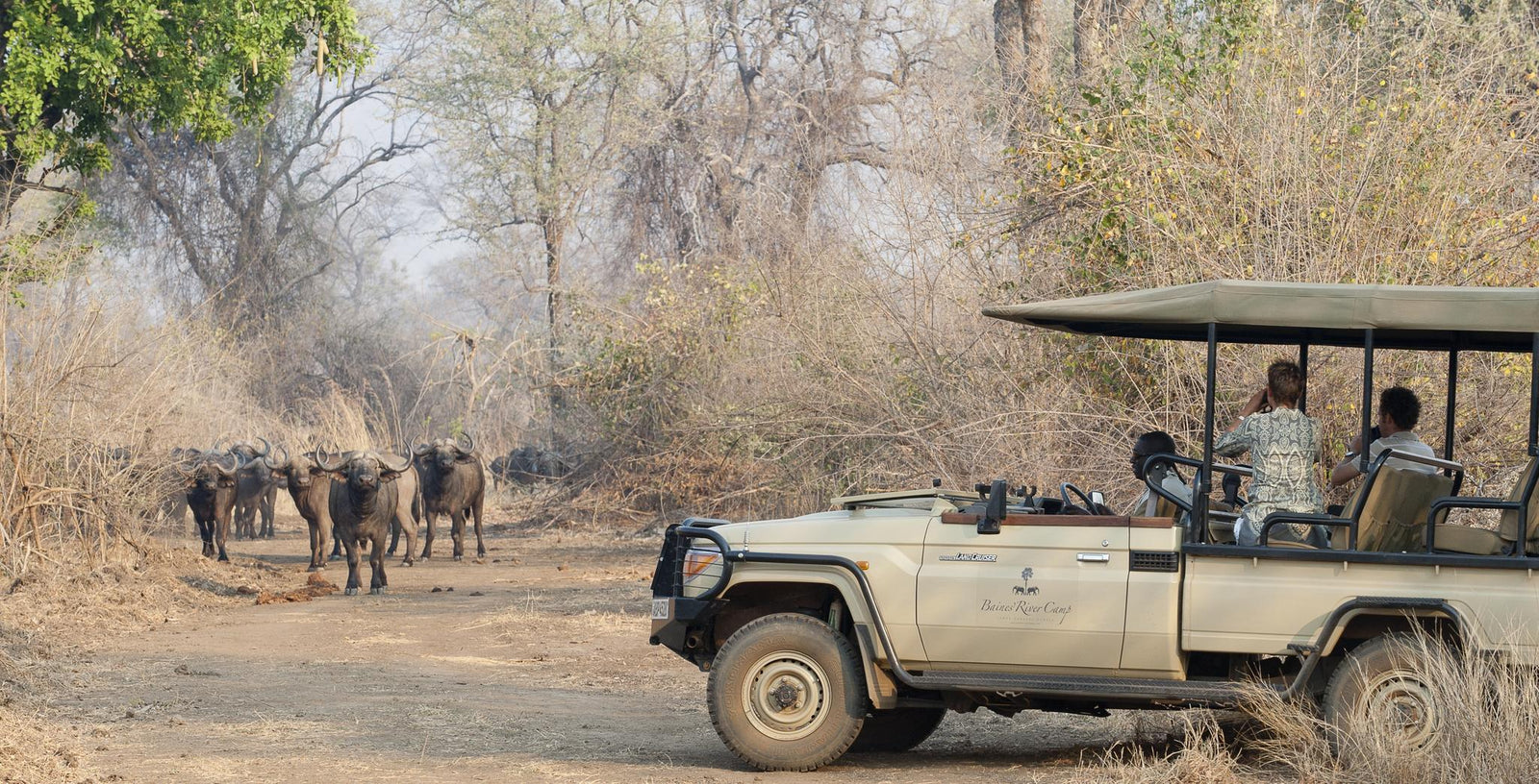 Game Drive