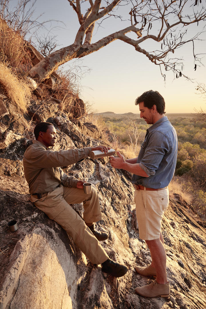 Bushmen Paintings and Baobab Trees gallery image 3