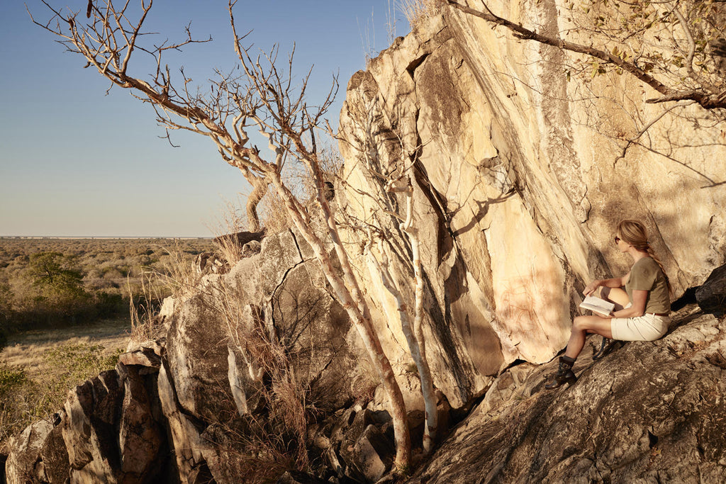 Bushmen Paintings and Baobab Trees gallery image 2