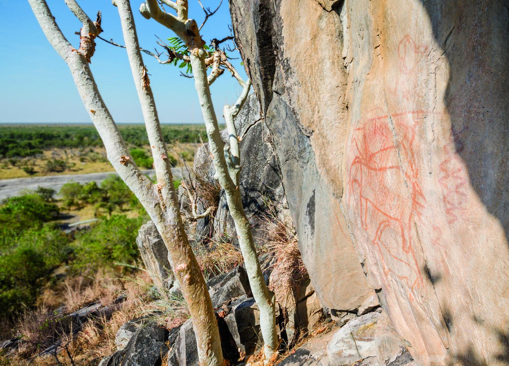 Bushmen Paintings and Baobab Trees gallery image 4
