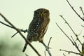 Bird Watching gallery image 1
