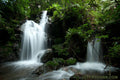 Bwindi Forest Walk gallery image 1