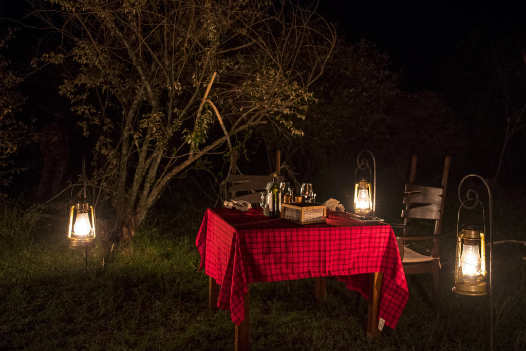 Private Bush Dinner gallery image 4