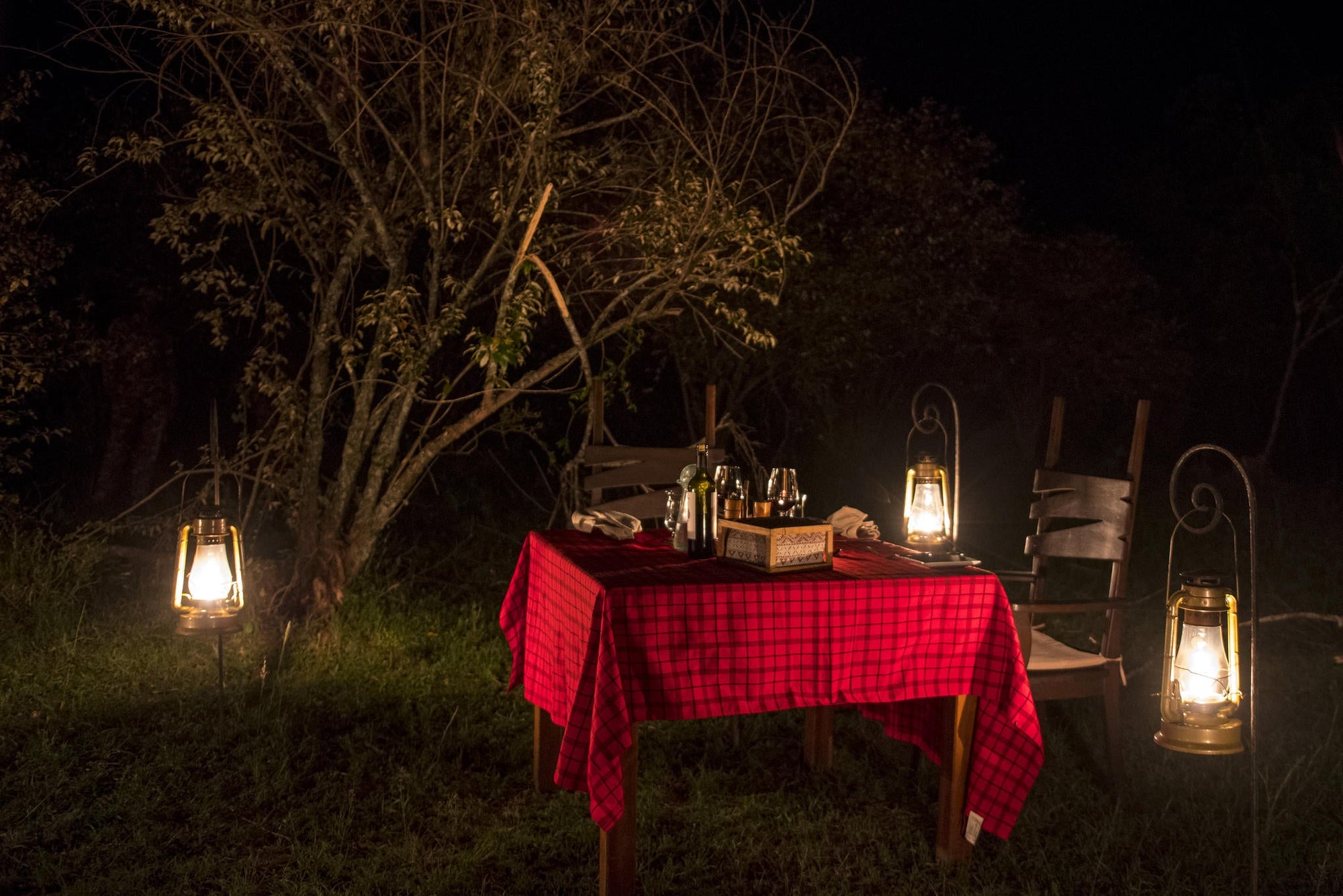 Private Bush Dinner gallery image 4