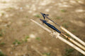 Hadzabe Bushmen Experience (Additional Cost) gallery image 1
