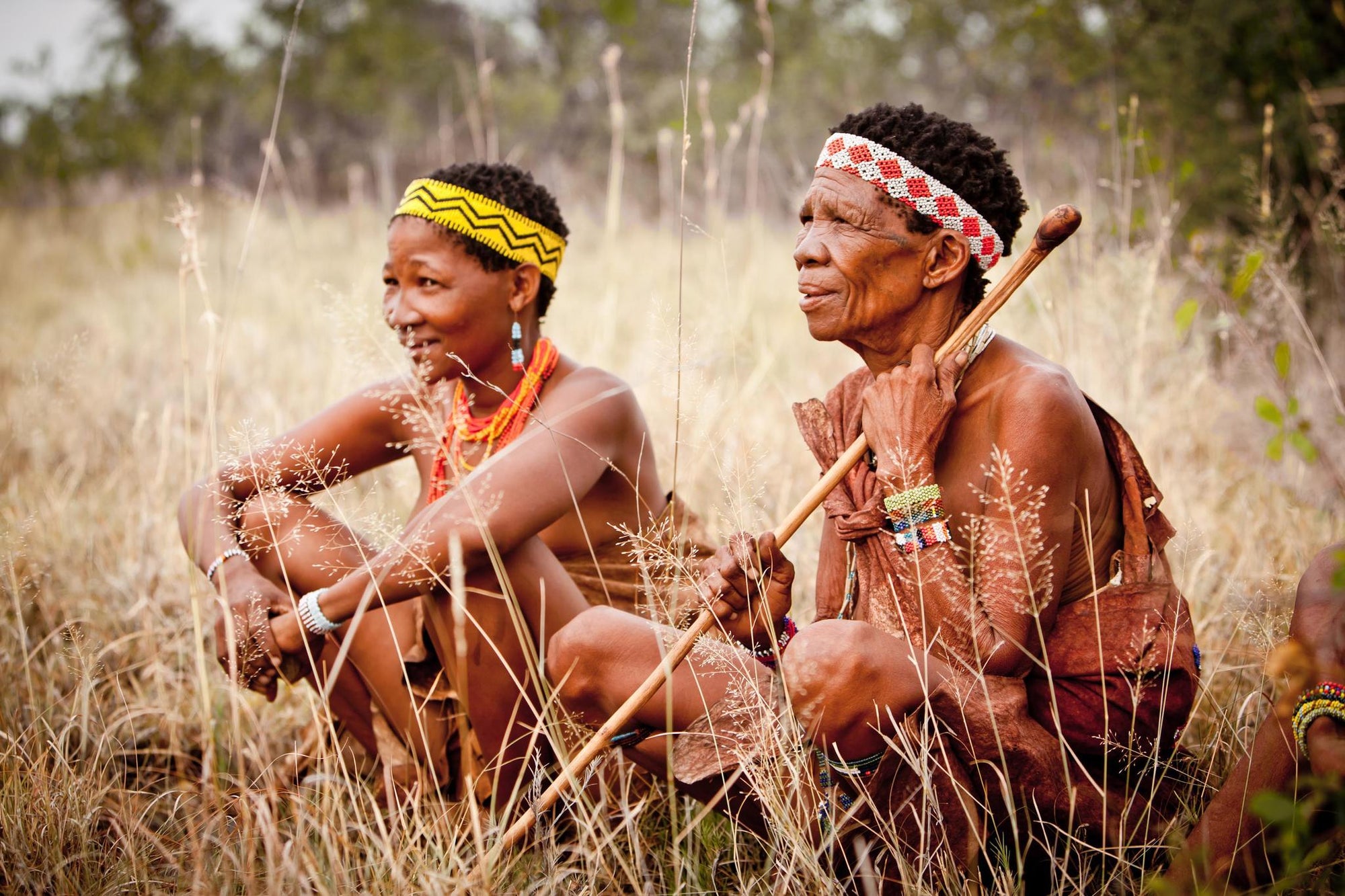 Bushman Walk gallery image 3
