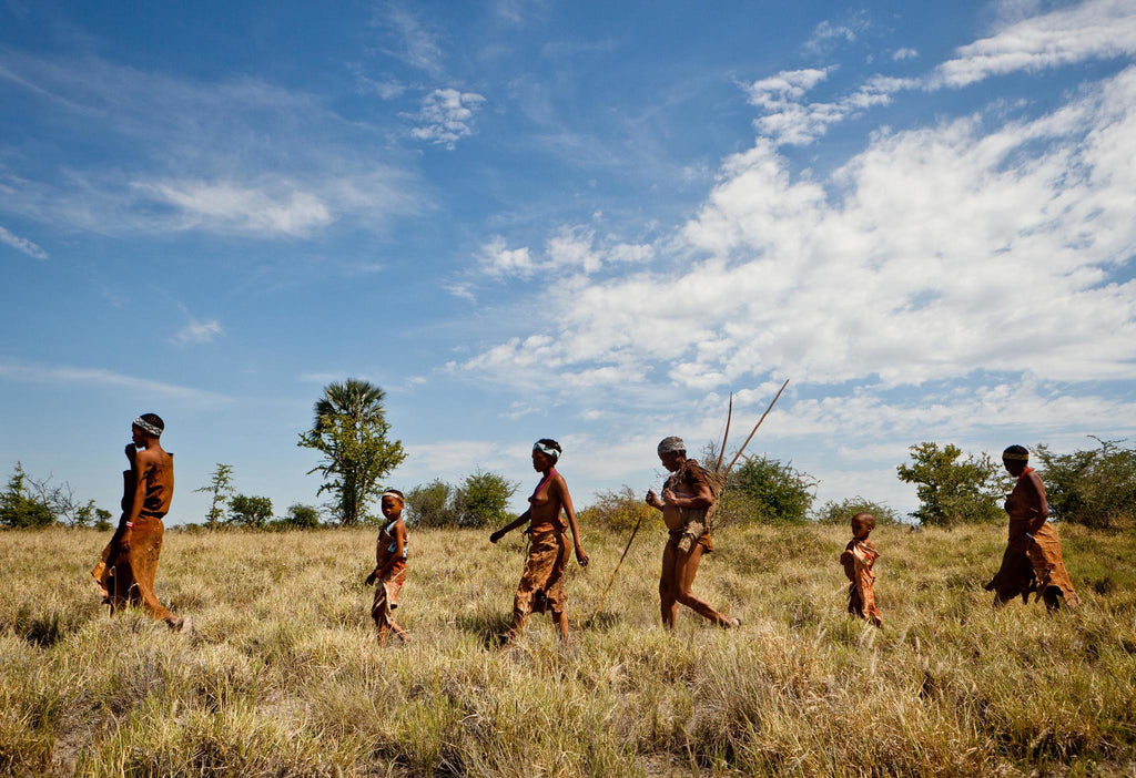 Bushman Walk gallery image 1