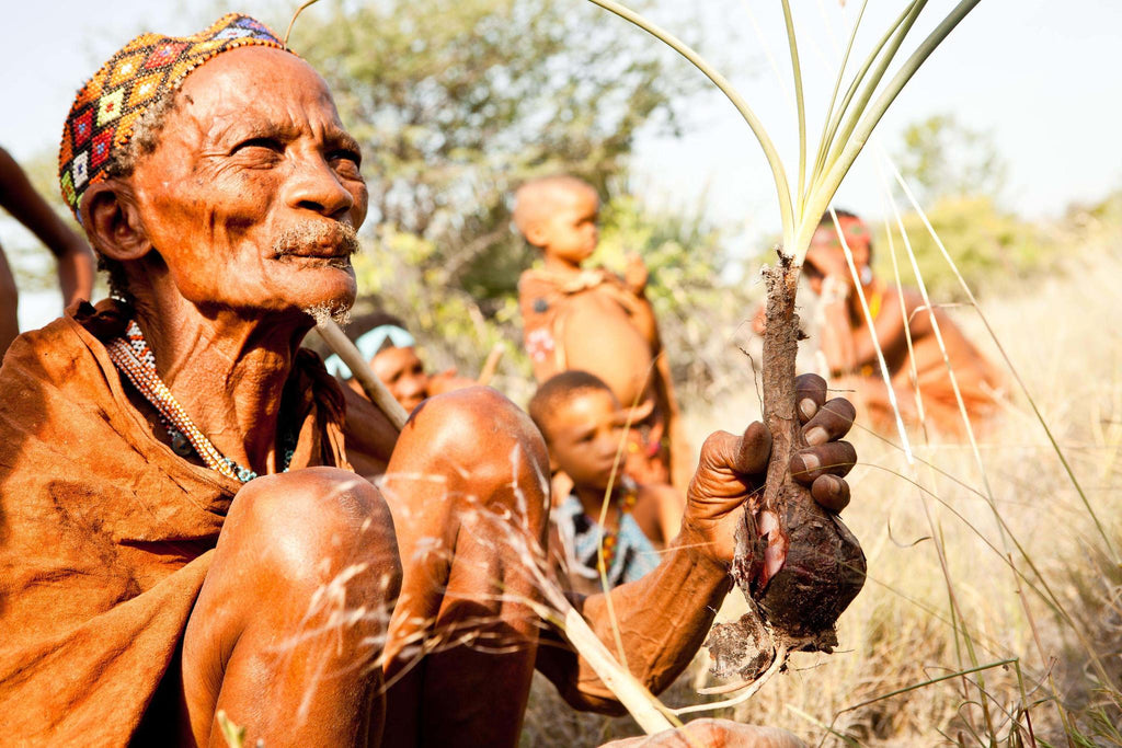 Bushman Walk gallery image 6