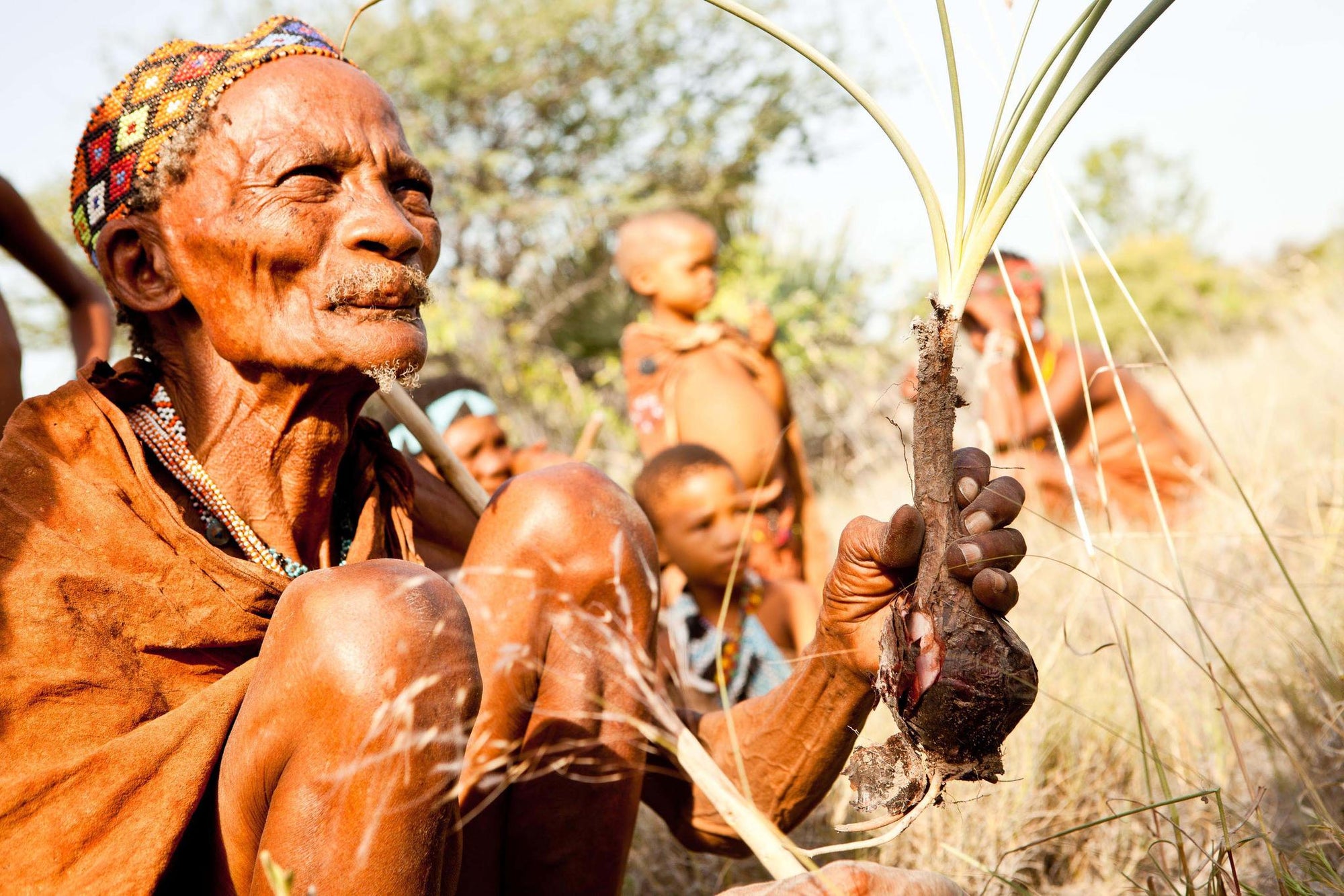Bushman Walk gallery image 6