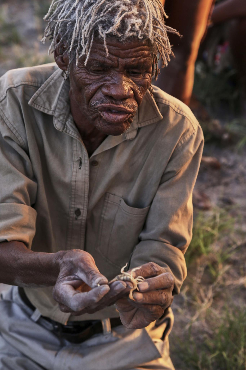 Bushman Walk gallery image 5