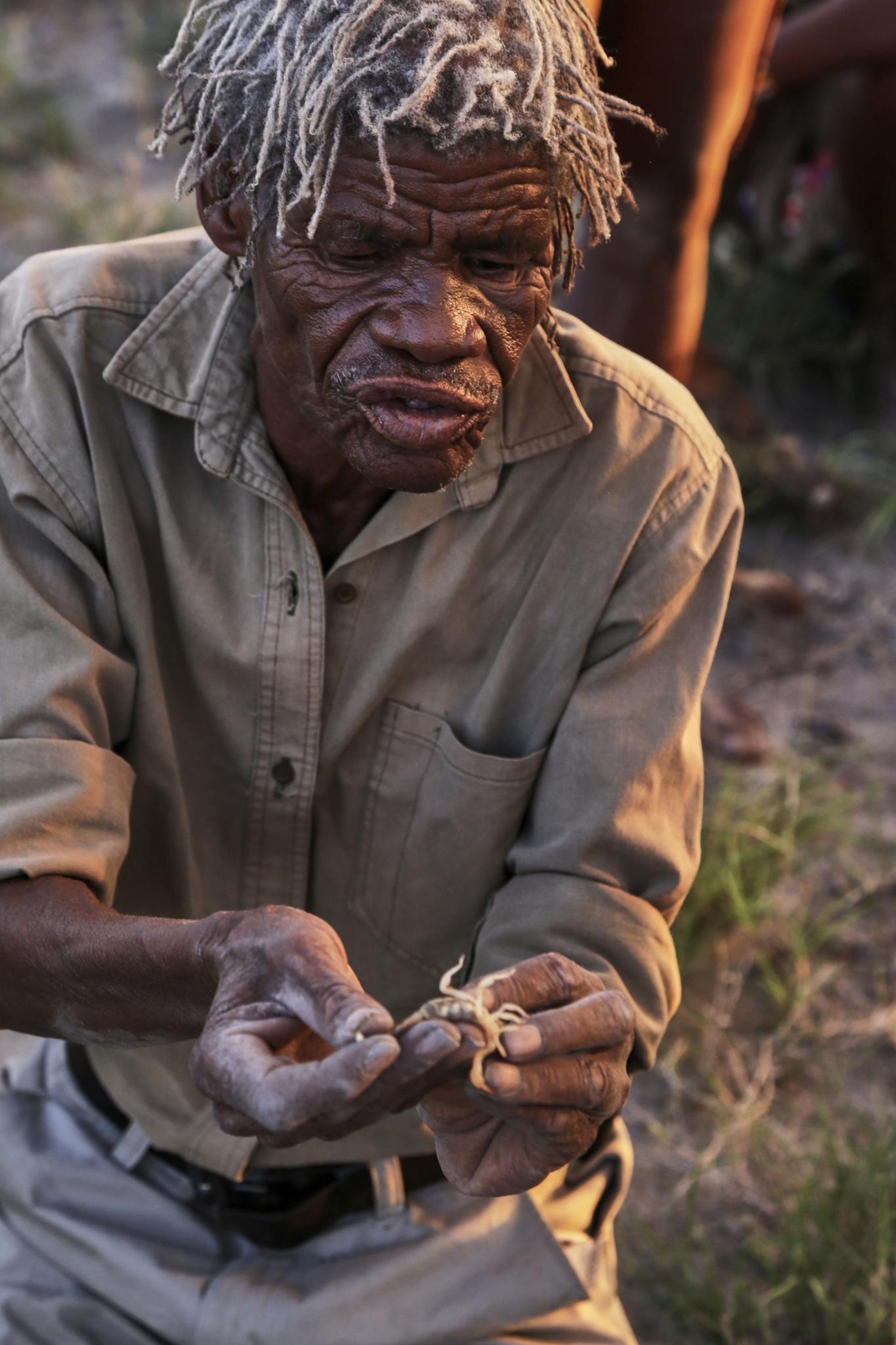 Bushman Walk gallery image 5