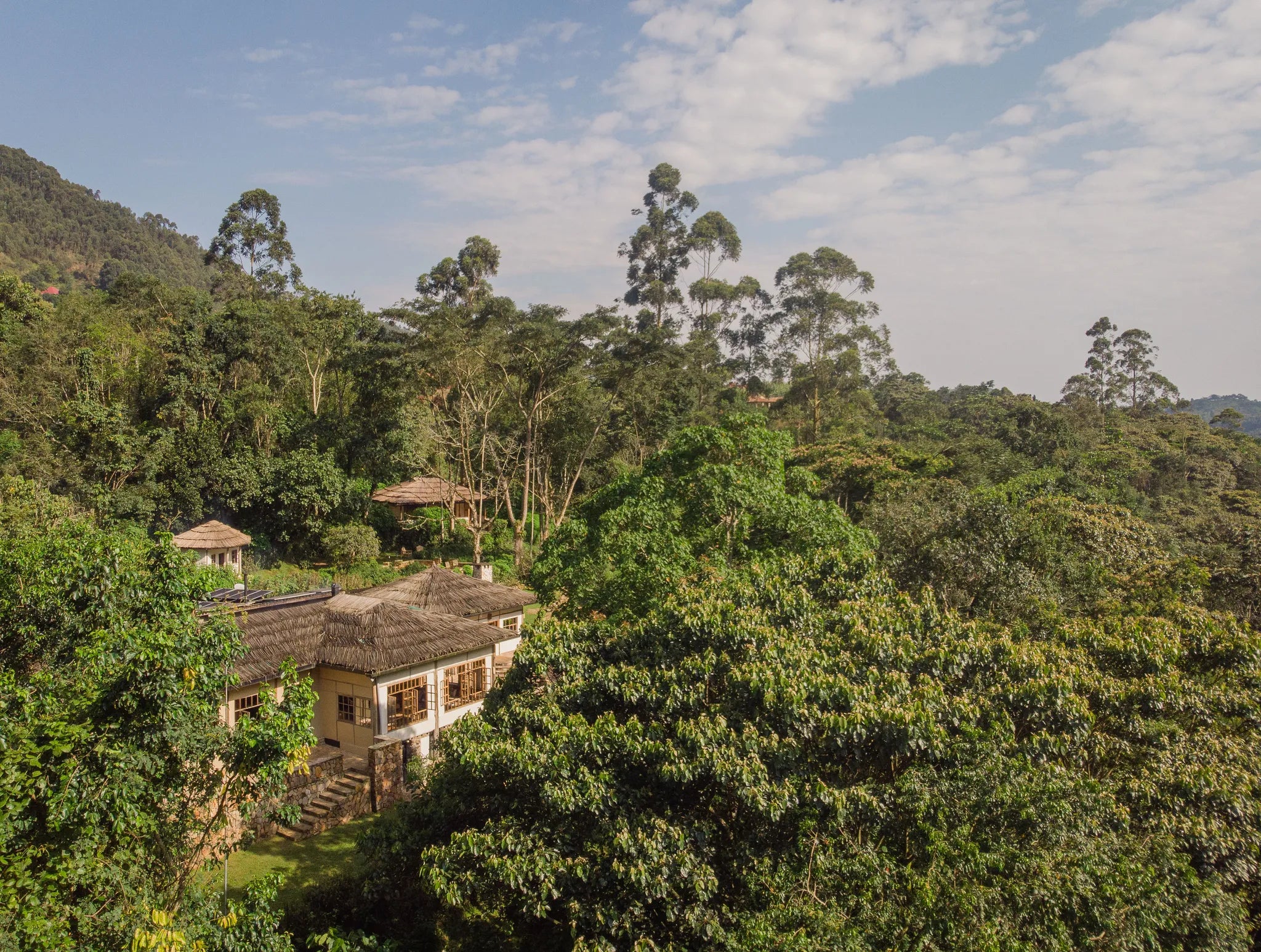 Bwindi Lodge at Bwindi Lodge, Bwindi Impenetrable Forest National Park, Uganda.