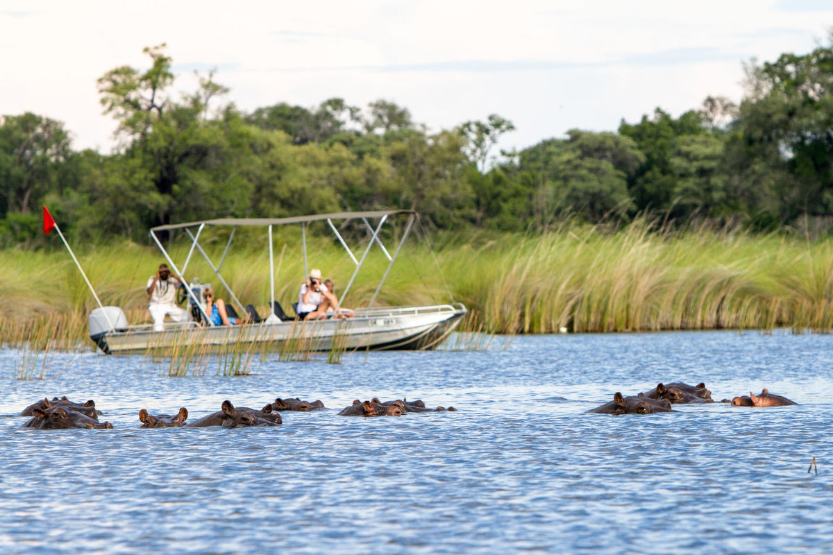 Camp Moremi motorised boating trips